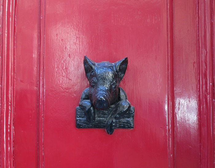 Pig door knocker on the streets of Valletta Malta