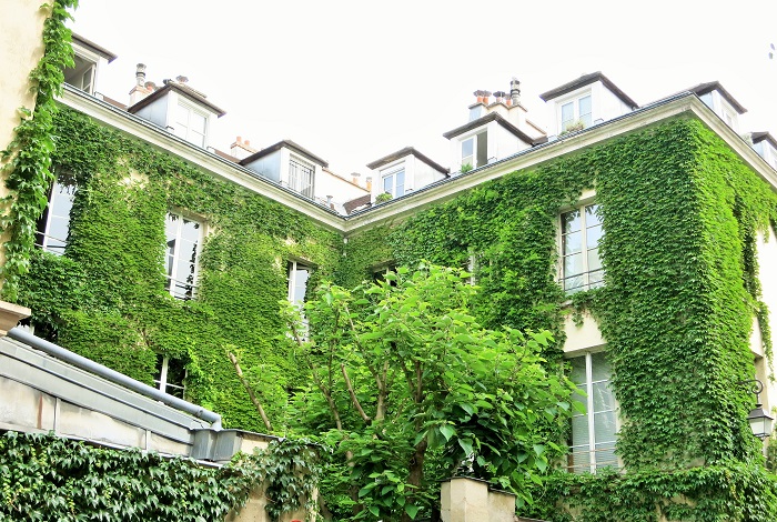 Ivy covered building in Paris | Cobblestones and Cappuccinos