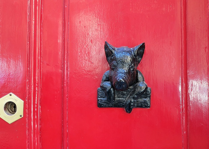 Pig head knocker on red door, Valletta, Malta