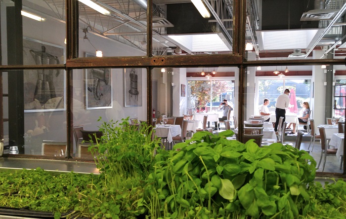 , View from the kitchen, Revive Kitchen, London Ontario